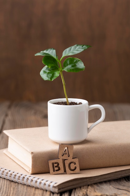 Free Photo potted plant on book arrangement