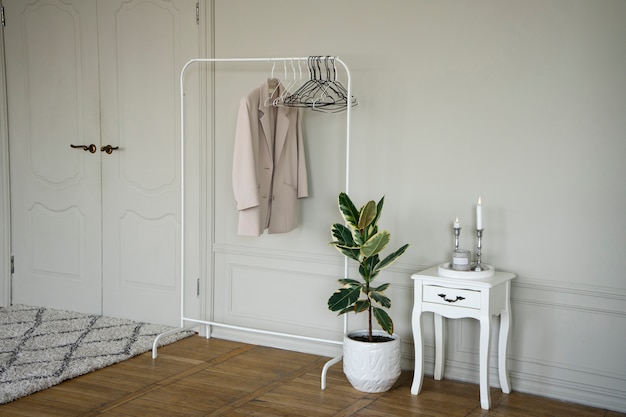 Free photo potted plant in room with clothes rack and nightstand