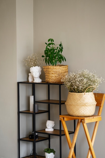 Free photo potted plants as room decor with shelf and chair