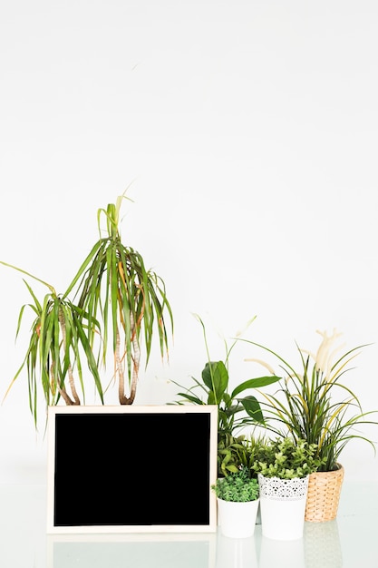 Free photo potted plants with blank slate on desk