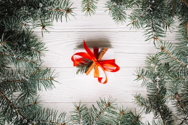 Present box framed by fir branches