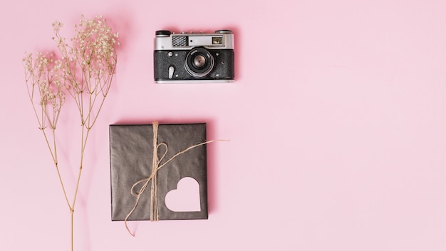 Free photo present box with ornament heart, camera and twig