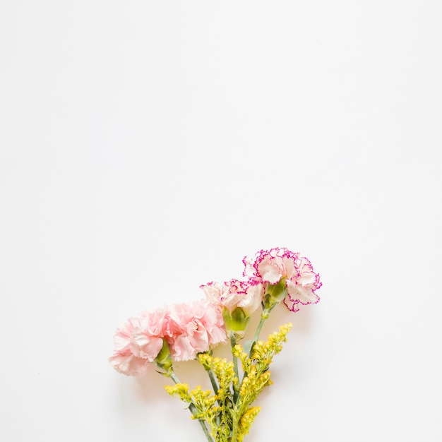 Pretty carnations and yellow flowers