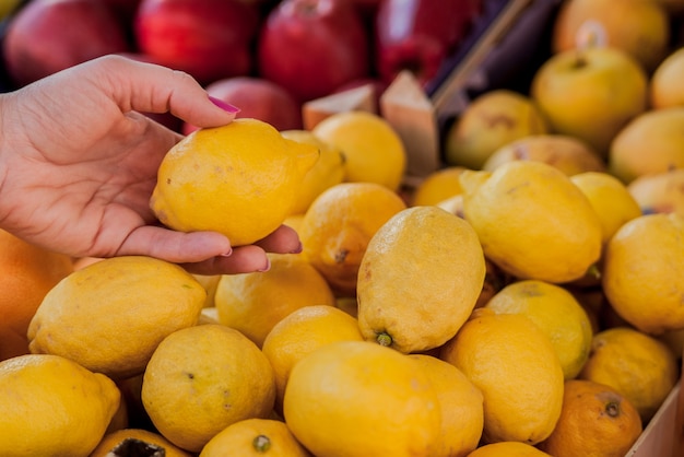 Pretty female customer buying lemons on fruit market. woman choosing lemons. woman choosing fresh lemons for measuring in grocery store