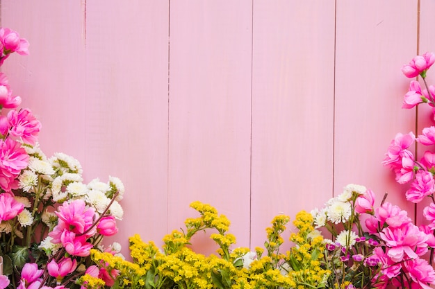 Free photo pretty flowers on pink