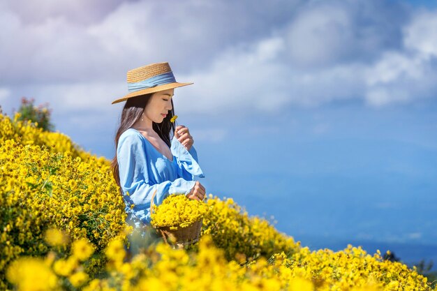 Pretty girl enjoying in chrysanthemums field in Chiang mai, Thailand