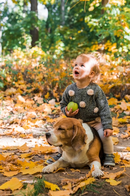 Pretty girl holding ball sitting on her pet beagle dog in forest