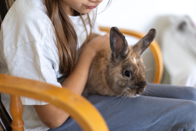 A pretty little girl is playing with a pet rabbit pets concept