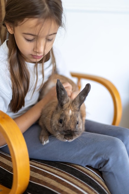 Free Photo a pretty little girl is playing with a pet rabbit pets concept