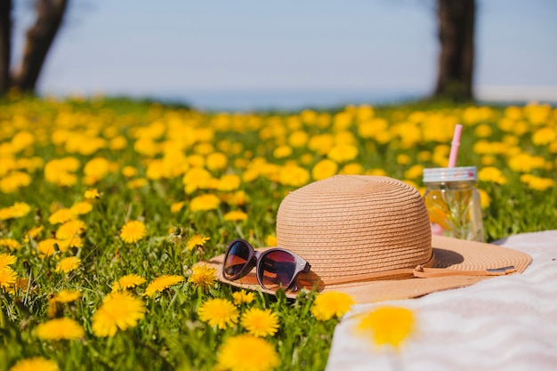 Free Photo pretty summer hat with sunglasses on the grass