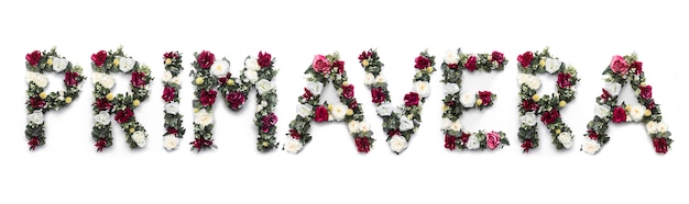 Primavera word made of flowers on white