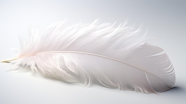 Free Photo pristine white background with soft feather details on the surface