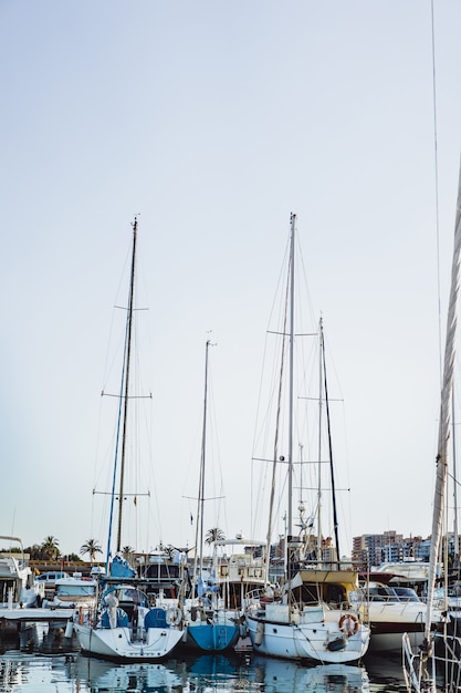 private yachts in port