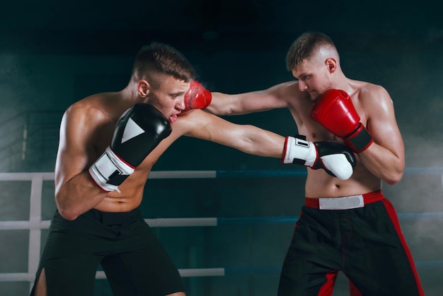 Free Photo professional boxer on boxing ring boxing training