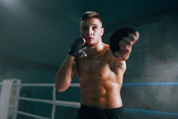 Free photo professional boxer on boxing ring boxing training