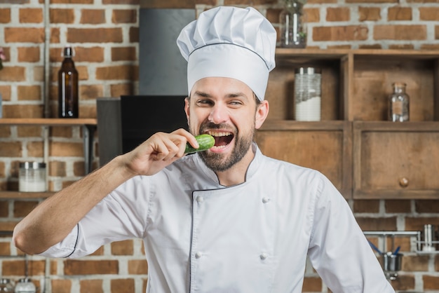 Free Photo professional male chef eating green cucumber