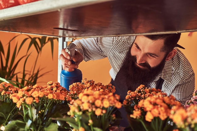 Professional male florist with beard and tattoo on his hand wearing uniform taking care of flowers in a modern flower shop.