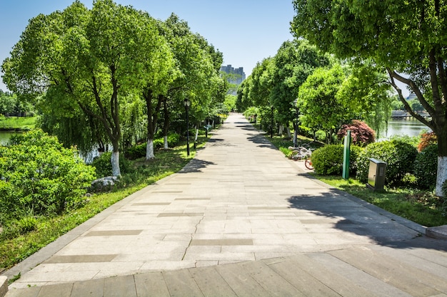 Promenade in a beautiful city park