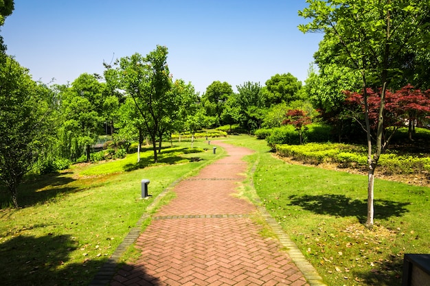 Promenade in a beautiful city park