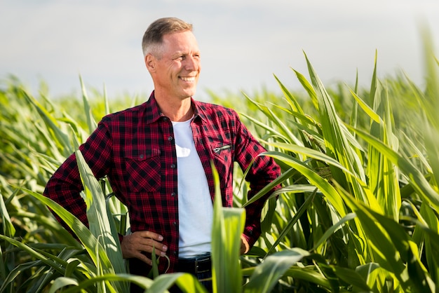 Proud agronomist in cornfield