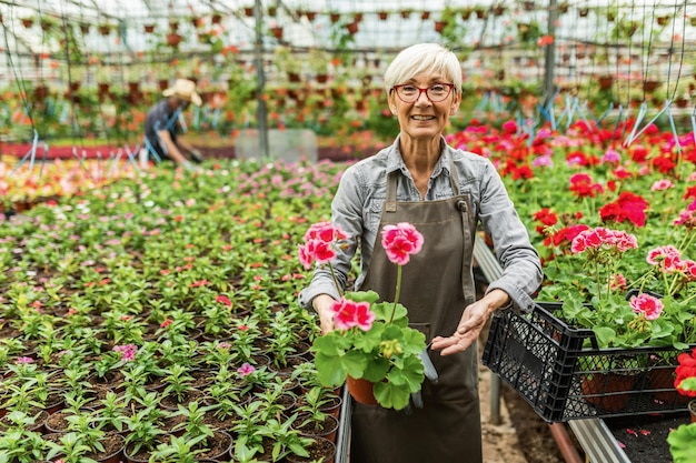 Proud mature florist showing flower sample from her greenhouse and looking at camera