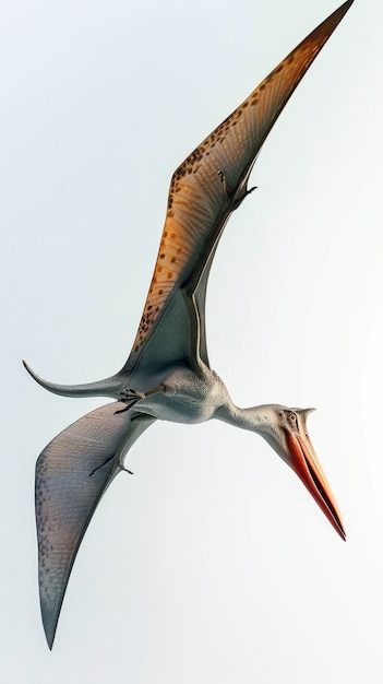 Free photo pterodactylus winged dinosaur flying