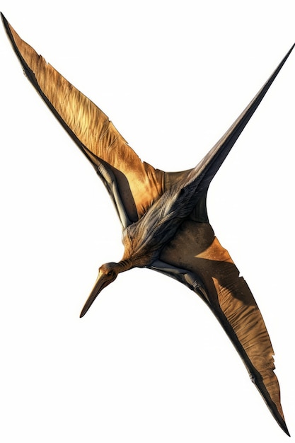 Free photo pterodactylus winged dinosaur flying