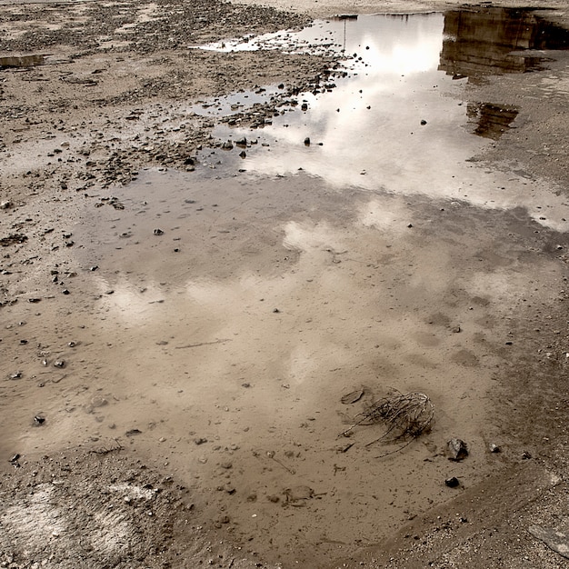 puddle on land