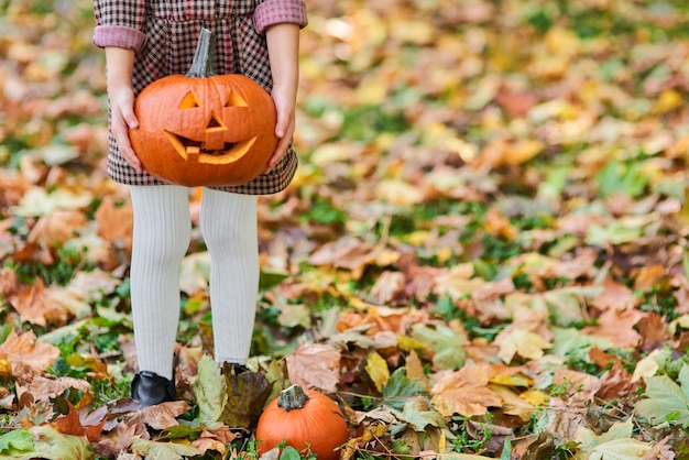 Pumpkin as the symbol of Halloween