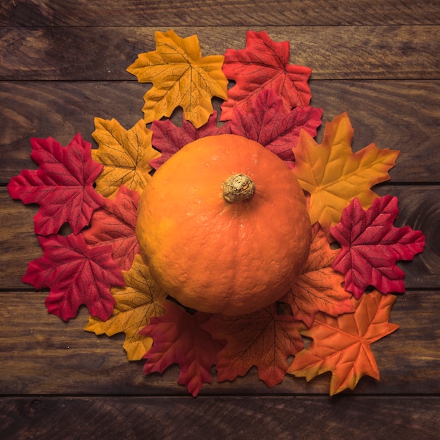 Free Photo pumpkin on autumn leaves