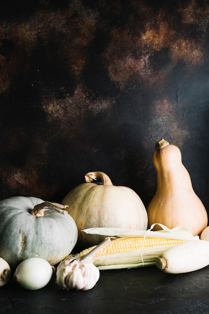 Free Photo pumpkin and butternut squash arrangement with copy space