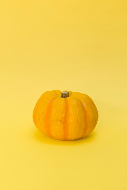 Free Photo pumpkin