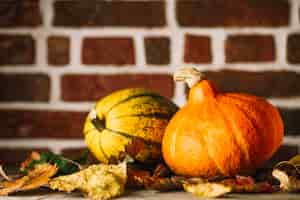 Free photo pumpkins and dry leaves