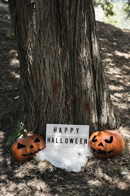 Pumpkins near Halloween tablet in park