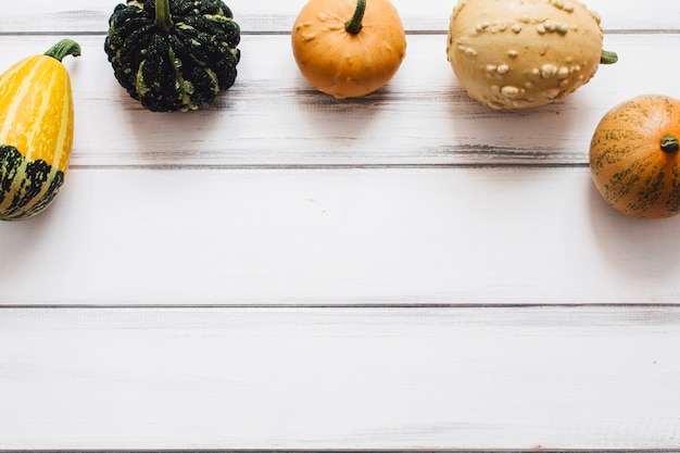 Pumpkins and squashes on white wooden table