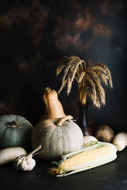 Free photo pumpkins and squashes with copy space