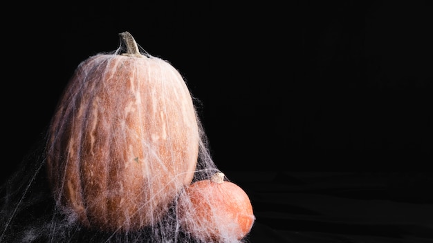 Free Photo pumpkins with spiderweb on black background