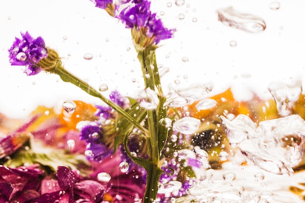 Purple evergreen falling into water