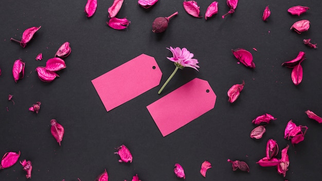 Free Photo purple flower with small papers on table