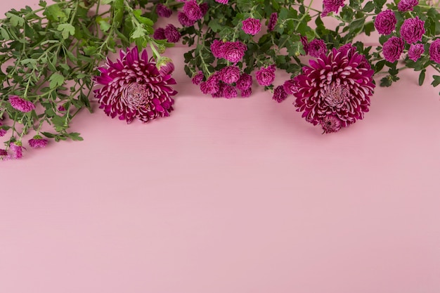 Free Photo purple flowers scattered on pink table