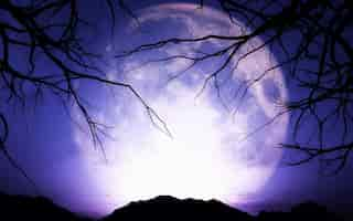 Free photo purple full moon