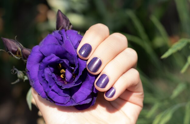 Free Photo purple nail design. female hand with purple manicure holding eustoma flower