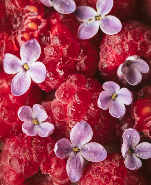 Free photo purple petaled flower bloom close-up with raspberries