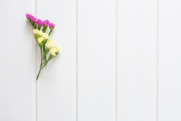 Purple and yellow flowers on white background