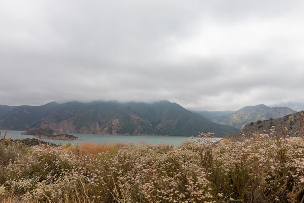 Pyramid Lake in California captured on a cloudy day