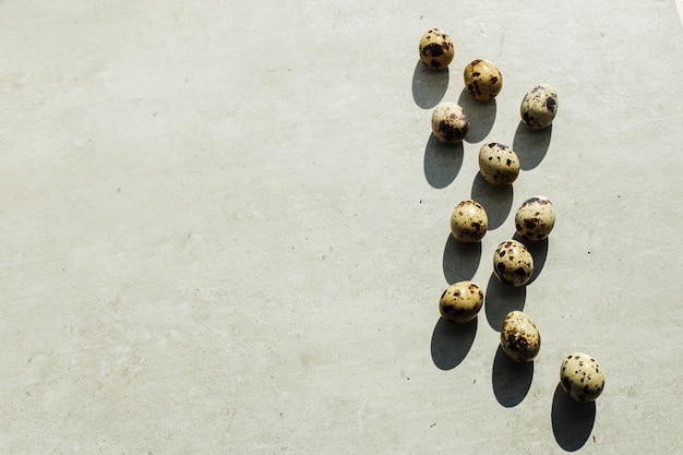 Free photo quail eggs on the floor