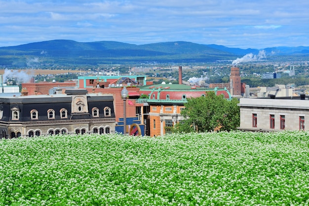 Free photo quebec city view in the day with green lawn and urban buildings