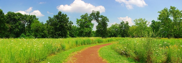 Free photo quiet rural trail panorama