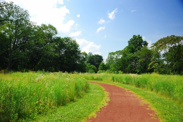 Quiet rural trail