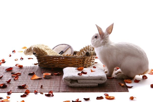 Rabbit with spa products and rose petals